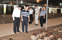 專(zhuān)題報(bào)道