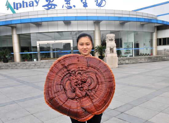 專(zhuān)題報(bào)道