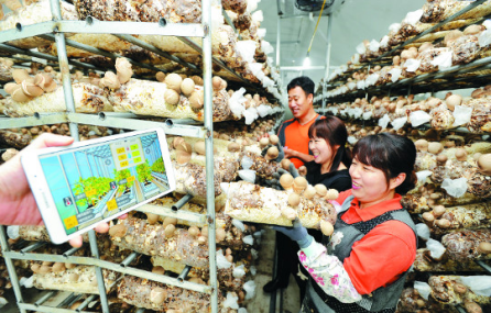 圖片關(guān)鍵詞 圖片關(guān)鍵詞