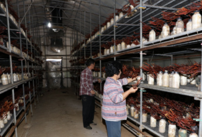 圖片關鍵詞 圖片關鍵詞