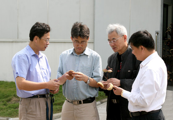 圖片關鍵詞 圖片關鍵詞