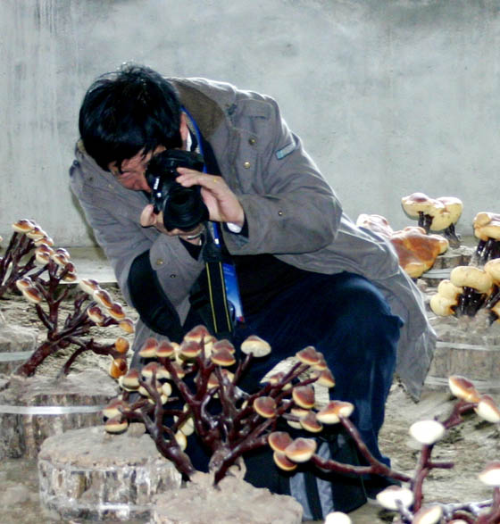 圖片關鍵詞 圖片關鍵詞