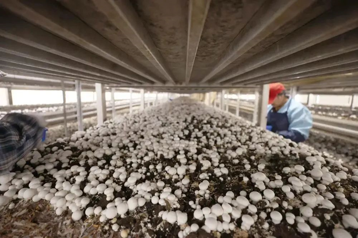 圖片關鍵詞 圖片關鍵詞