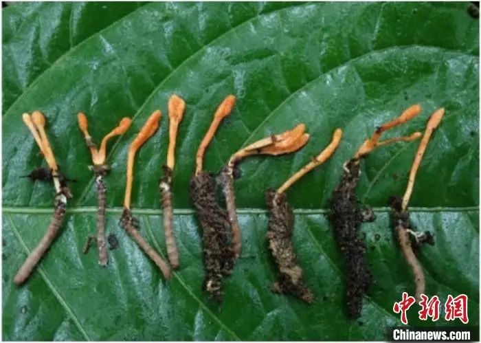 圖片關鍵詞 圖片關鍵詞