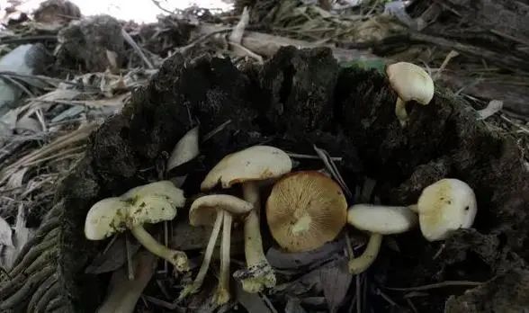 圖片關鍵詞 圖片關鍵詞