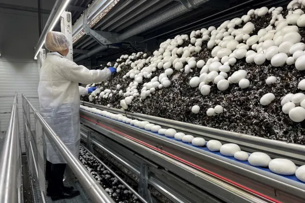 圖片關鍵詞 圖片關鍵詞