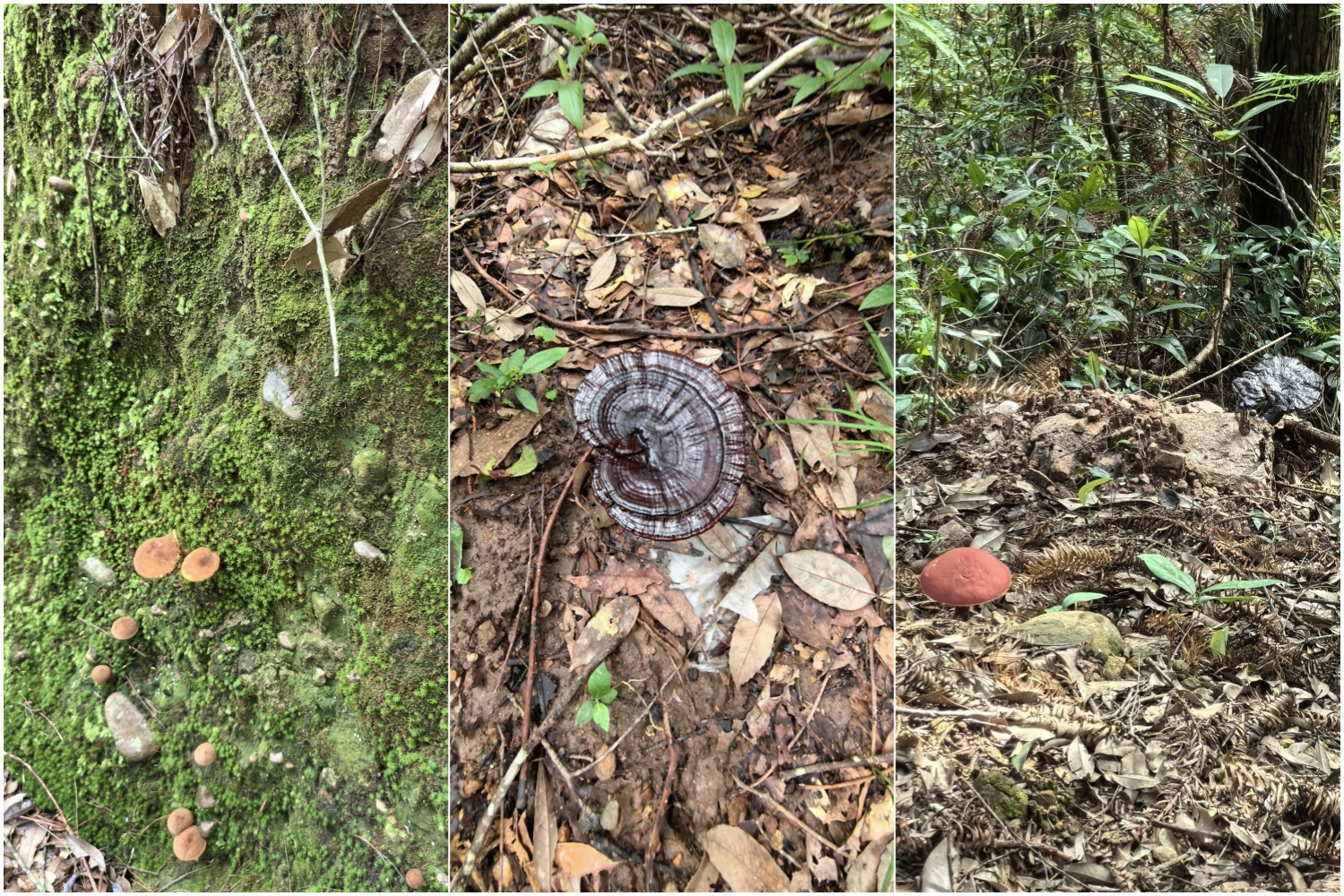 圖片關鍵詞 圖片關鍵詞