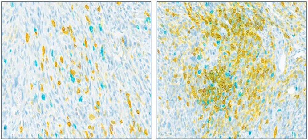 圖片關鍵詞 圖片關鍵詞