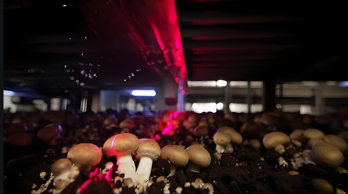 圖片關鍵詞 圖片關鍵詞