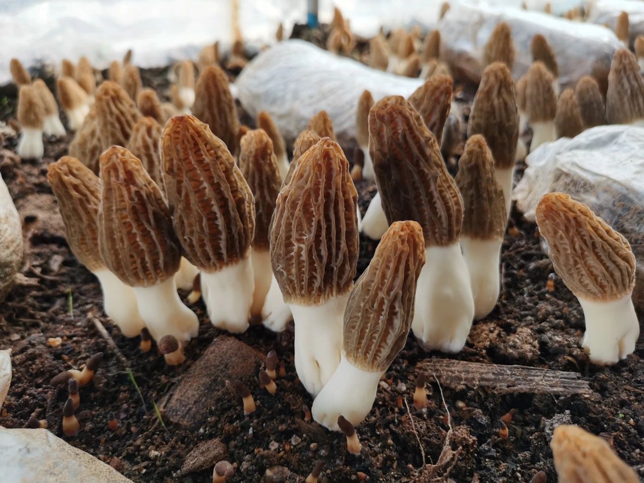 圖片關(guān)鍵詞 圖片關(guān)鍵詞