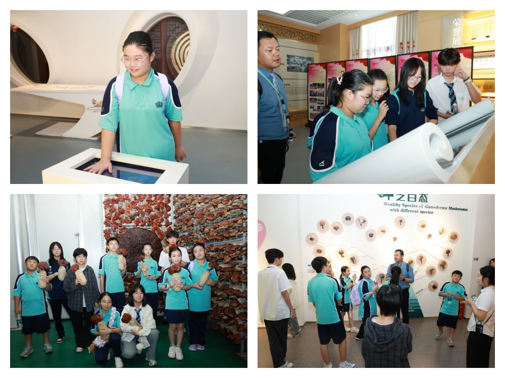 圖片關鍵詞 圖片關鍵詞