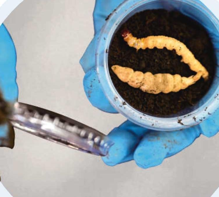 圖片關鍵詞 圖片關鍵詞