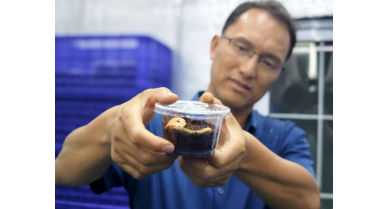 行業(yè)動態(tài)