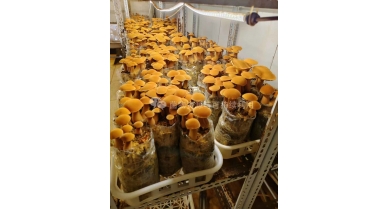 行業(yè)動(dòng)態(tài)